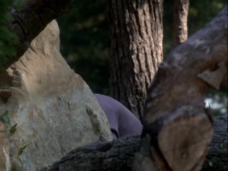 Charmed-Online-dot-nl_Profiler3x02-1970.jpg Charmed-Online-dot-nl_Profiler3x02-1970.jpg