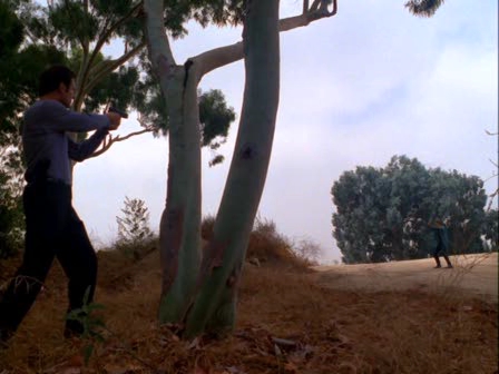 Charmed-Online-dot-nl_Profiler3x02-1999.jpg Charmed-Online-dot-nl_Profiler3x02-1999.jpg