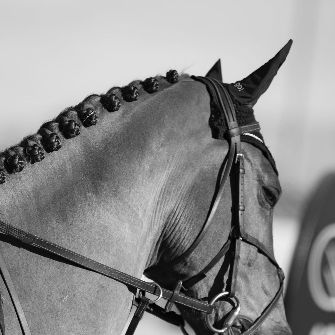 169-10.jpg 169-10.jpg