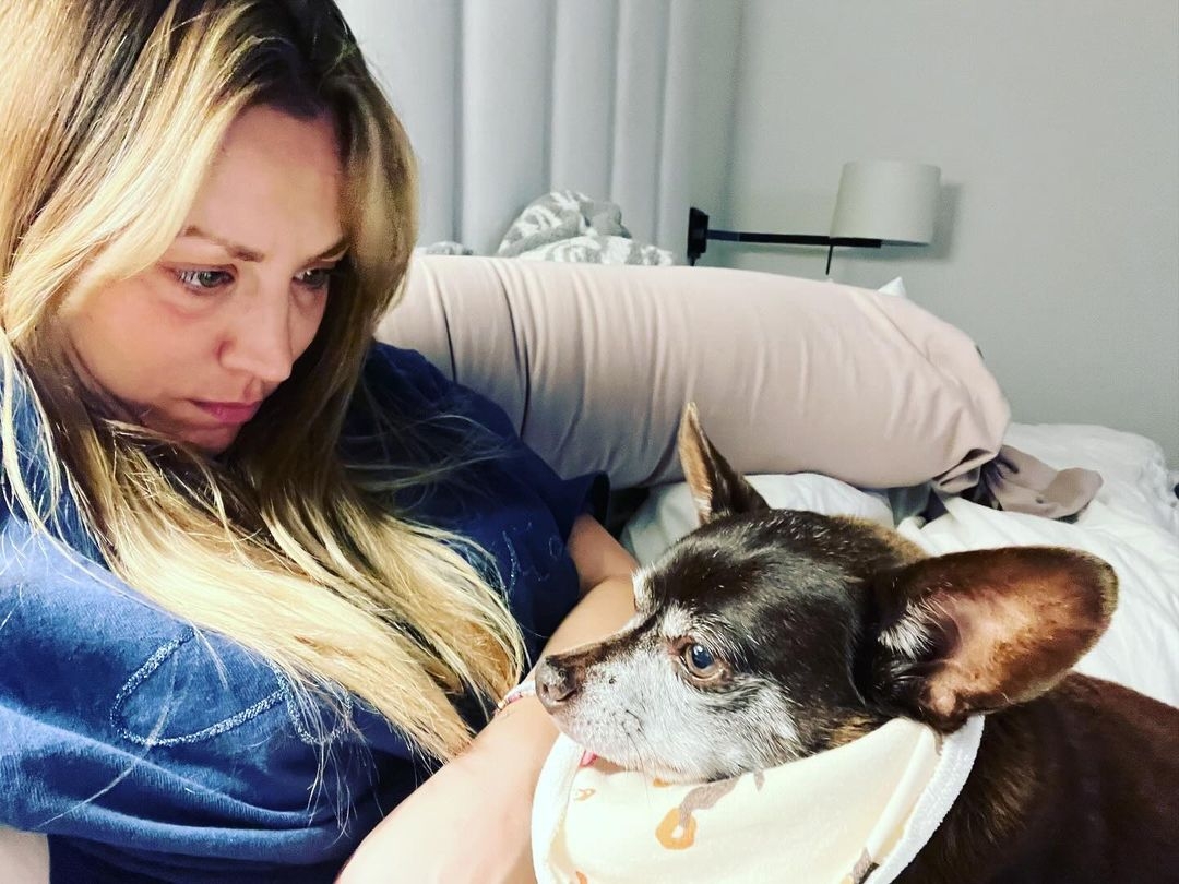 2023-015-7.jpg 2023-015-7.jpg