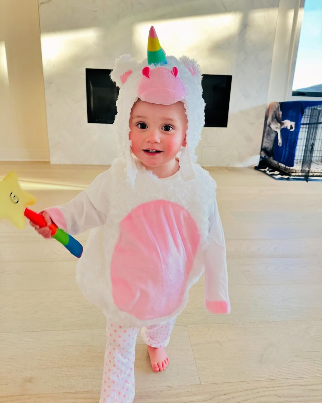 2024-010-2.jpg 2024-010-2.jpg