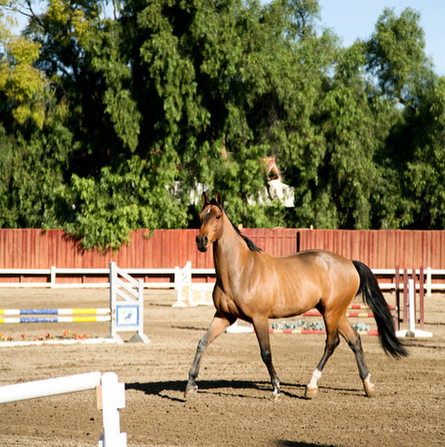 641-003.jpg 641-003.jpg