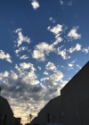 514.jpg