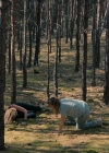 Bestandsnaam=Charmed-Online-dot-nl_Roleplay5456.jpg
Bestandsgrootte=1190KiB
Afmetingen = 1920x800
Datum toegevoegd = dec 05, 2024 Charmed-Online-dot-nl_Roleplay5456.jpg