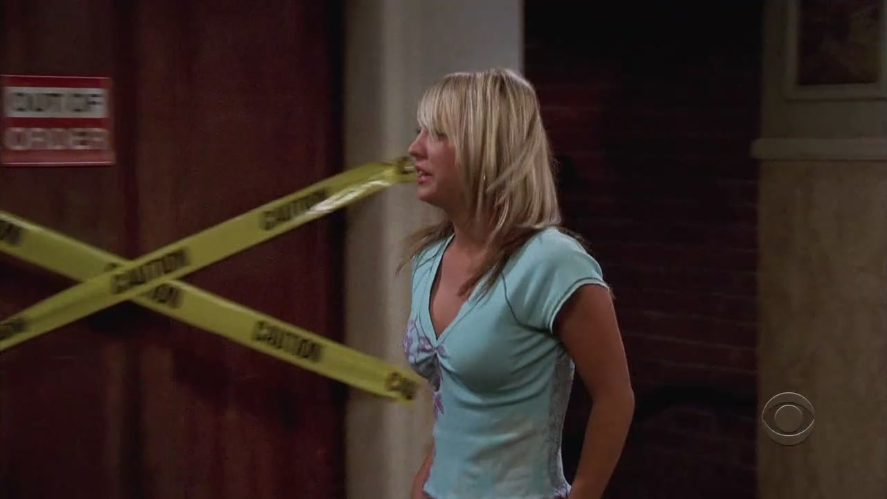 Charmed-Online-dot-net_TBBT-1x01-0158.jpg