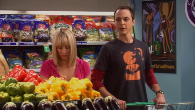Charmed-online-dot-net_TheBigBangTheory1x04-0126.jpg