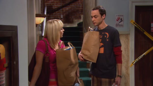 Charmed-online-dot-net_TheBigBangTheory1x04-0223.jpg