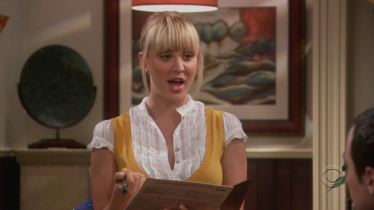 Charmed-online-dot-net_TheBigBangTheory1x05-0075.jpg