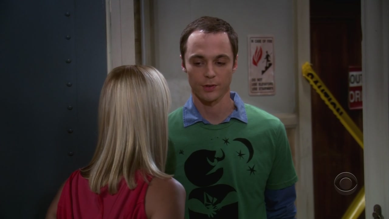 Charmed-online-dot-net_TheBigBangTheory1x05-0443.jpg