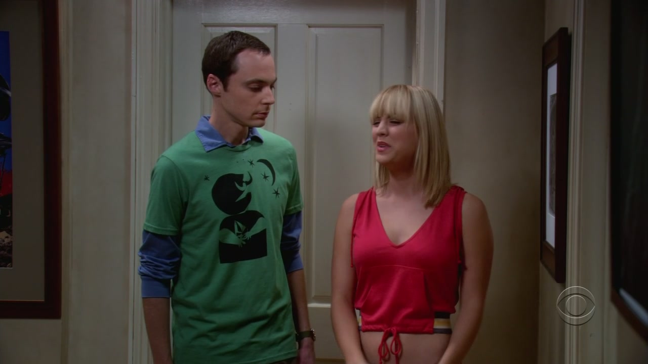 Charmed-online-dot-net_TheBigBangTheory1x05-0466.jpg