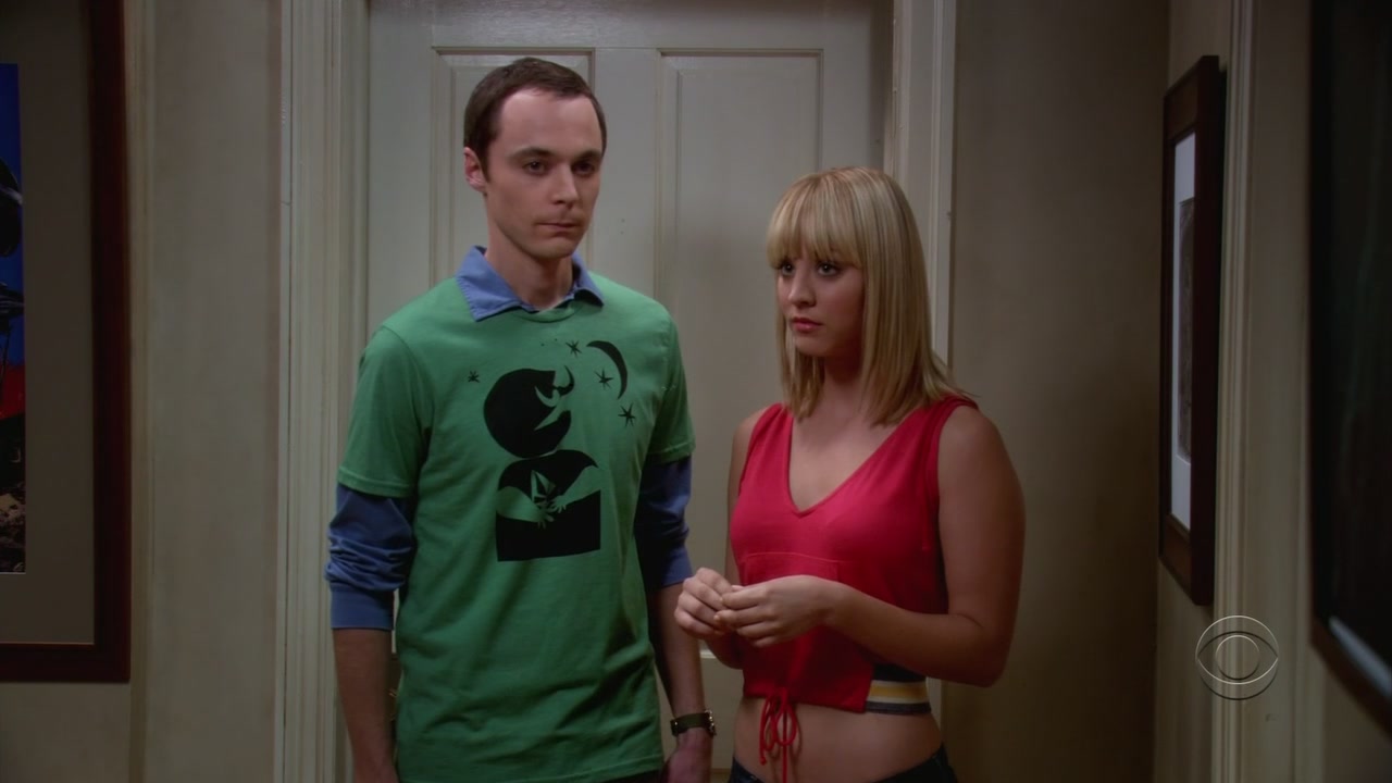 Charmed-online-dot-net_TheBigBangTheory1x05-0491.jpg
