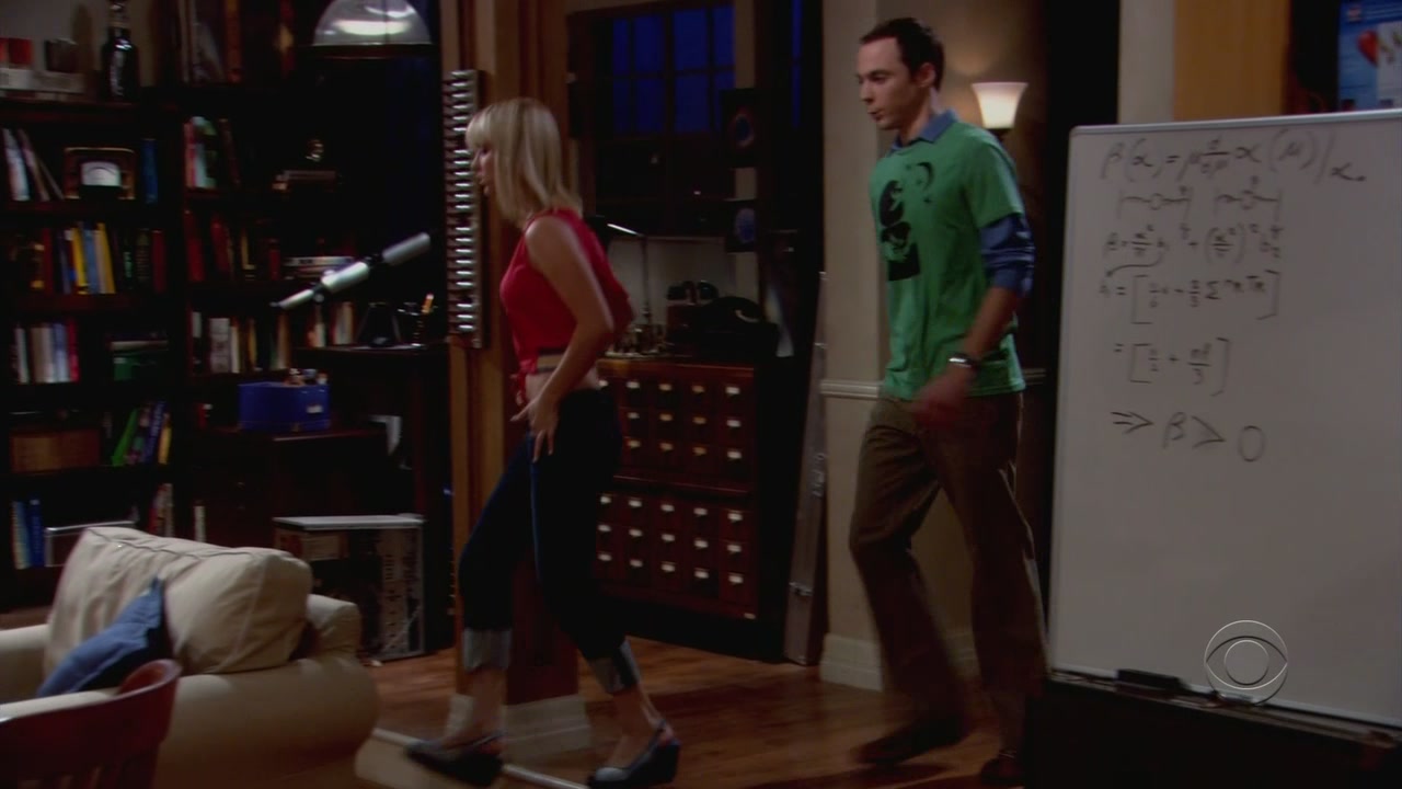 Charmed-online-dot-net_TheBigBangTheory1x05-0499.jpg