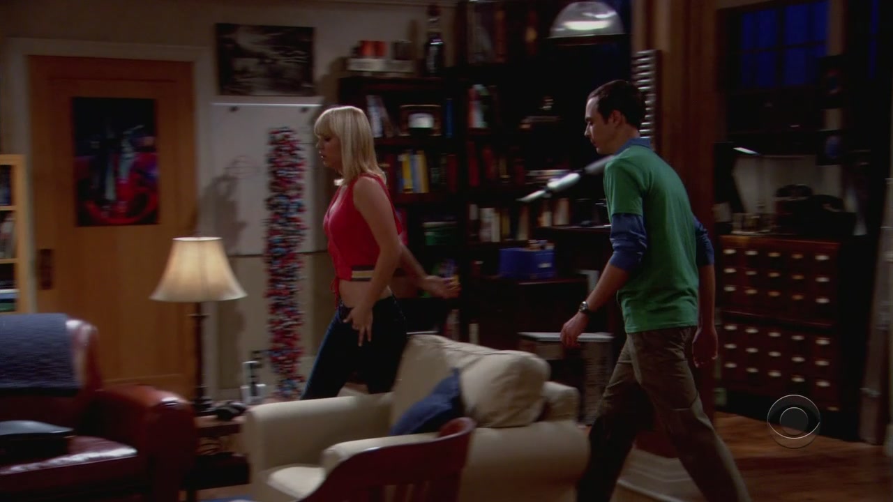 Charmed-online-dot-net_TheBigBangTheory1x05-0500.jpg