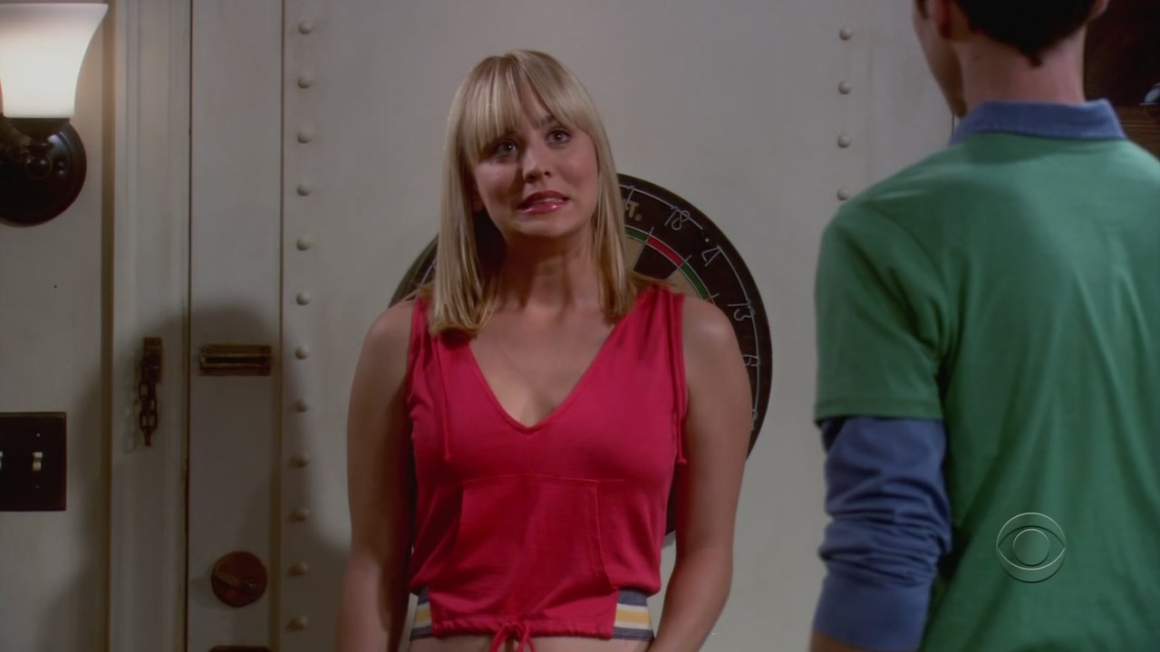Charmed-online-dot-net_TheBigBangTheory1x05-0558.jpg