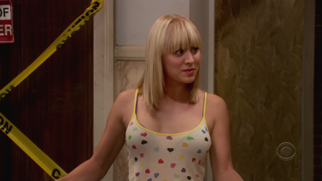 Charmed-online-dot-net_TheBigBangTheory1x05-0775.jpg