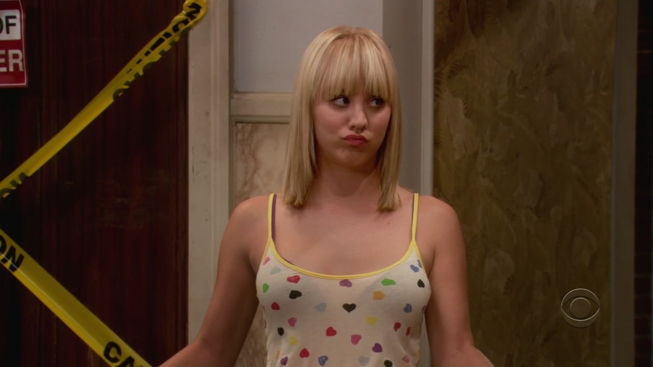 Charmed-online-dot-net_TheBigBangTheory1x05-0778.jpg