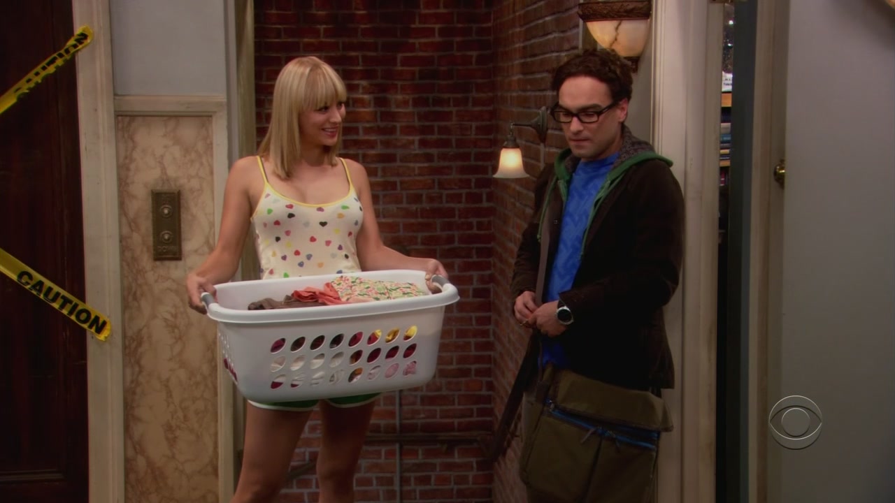 Charmed-online-dot-net_TheBigBangTheory1x05-0791.jpg