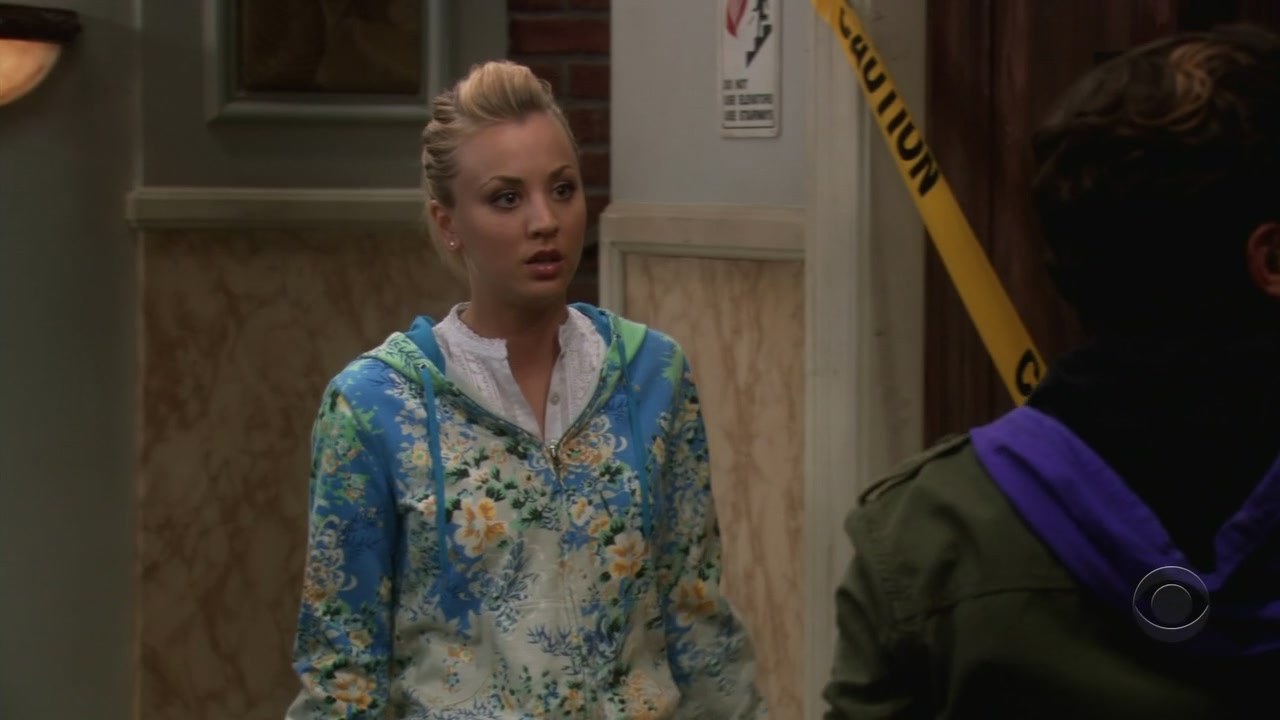 Charmed-Online-dot-net_TBBT-1x14-0004.jpg