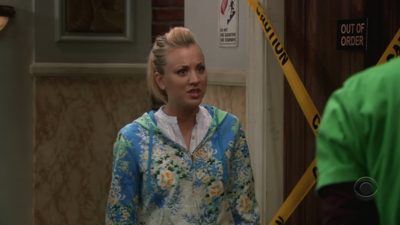 Charmed-Online-dot-net_TBBT-1x14-0008.jpg