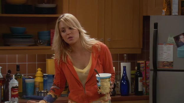 Charmed-Online-dot-net_TBBT-1x17-0050.jpg