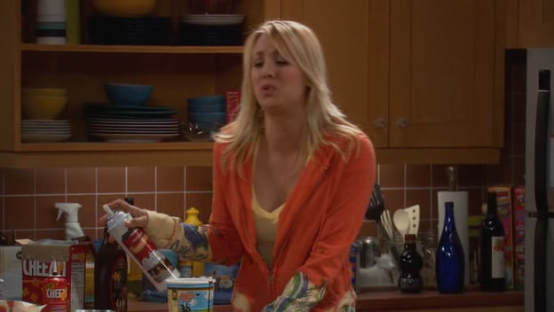 Charmed-Online-dot-net_TBBT-1x17-0107.jpg
