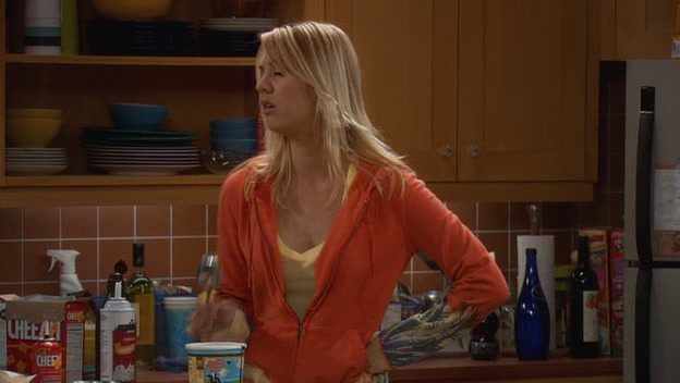 Charmed-Online-dot-net_TBBT-1x17-0124.jpg