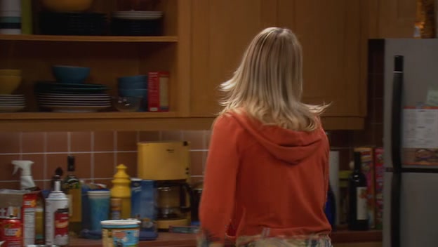 Charmed-Online-dot-net_TBBT-1x17-0125.jpg