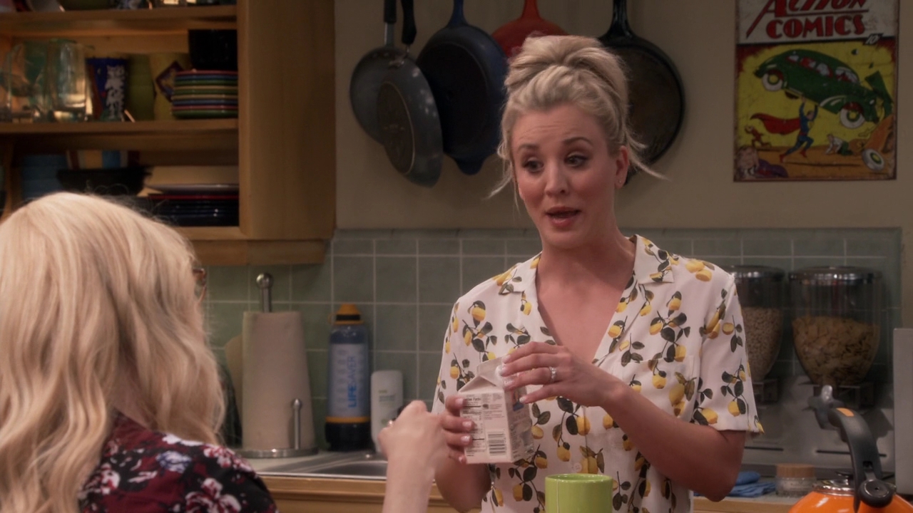 Charmed-Online-dot-nl_TheBigBangTheory11x01-0238.jpg