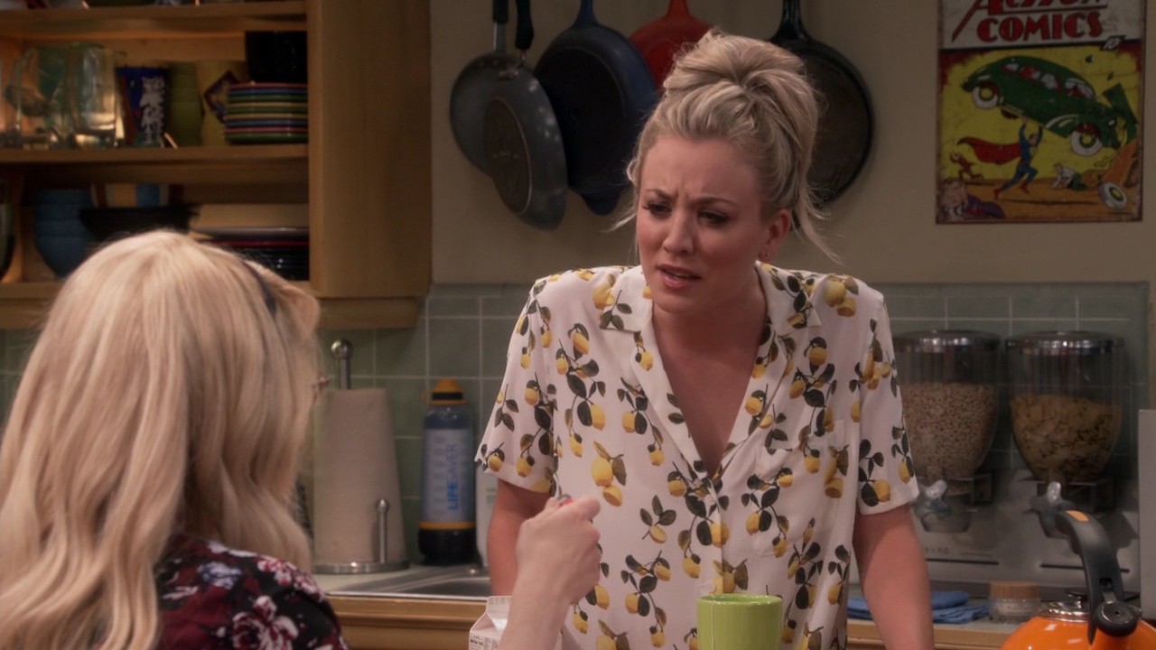Charmed-Online-dot-nl_TheBigBangTheory11x01-0249.jpg