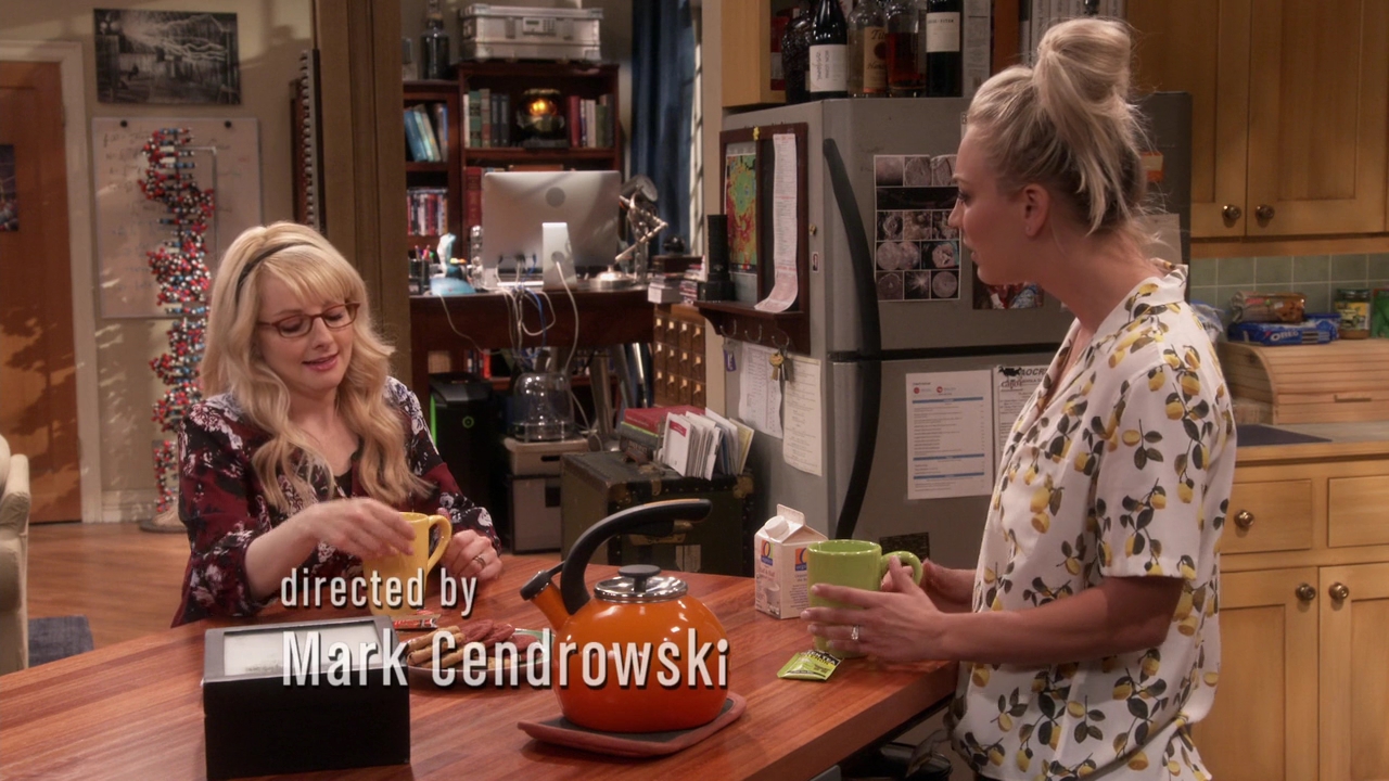 Charmed-Online-dot-nl_TheBigBangTheory11x01-0252.jpg