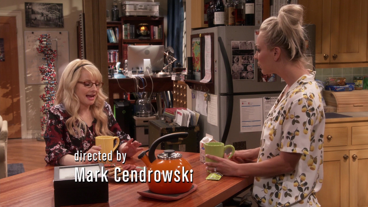 Charmed-Online-dot-nl_TheBigBangTheory11x01-0254.jpg