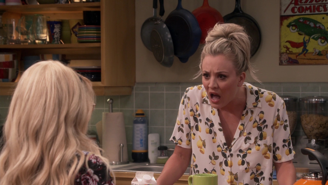 Charmed-Online-dot-nl_TheBigBangTheory11x01-0265.jpg