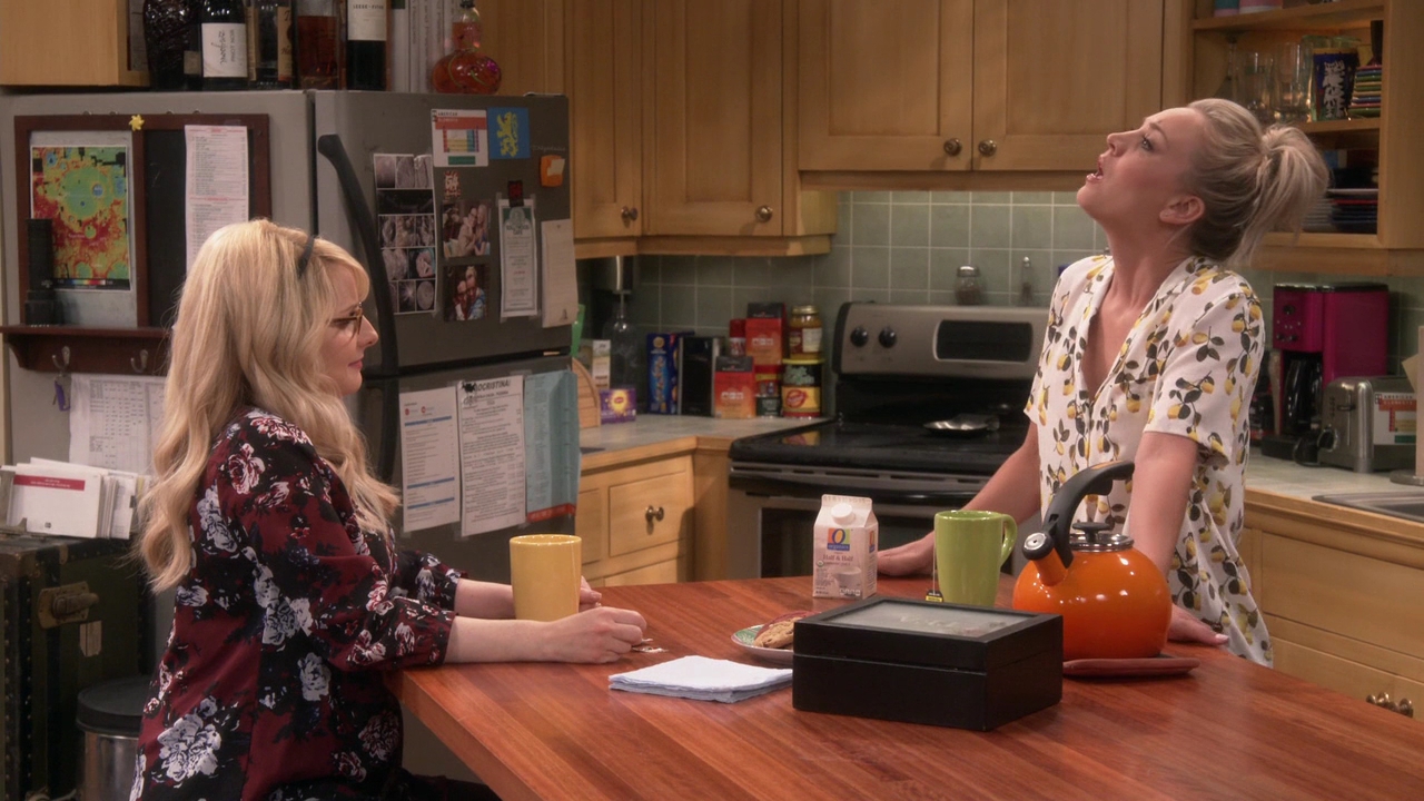 Charmed-Online-dot-nl_TheBigBangTheory11x01-0269.jpg