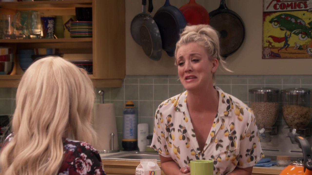 Charmed-Online-dot-nl_TheBigBangTheory11x01-0285.jpg