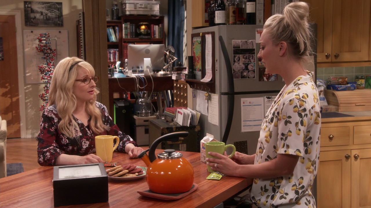 Charmed-Online-dot-nl_TheBigBangTheory11x01-0290.jpg