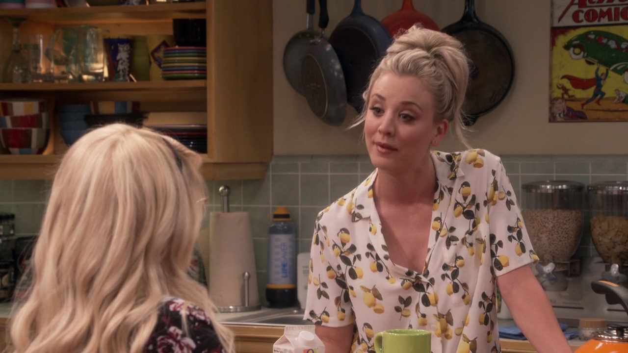 Charmed-Online-dot-nl_TheBigBangTheory11x01-0307.jpg