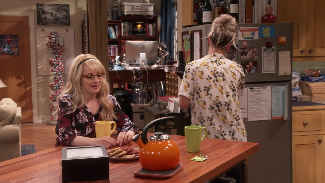 Charmed-Online-dot-nl_TheBigBangTheory11x01-0316.jpg