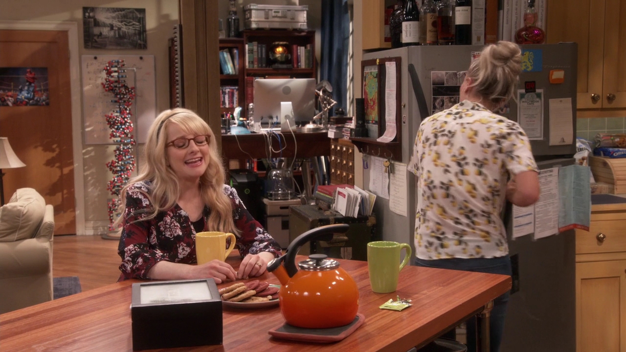 Charmed-Online-dot-nl_TheBigBangTheory11x01-0318.jpg