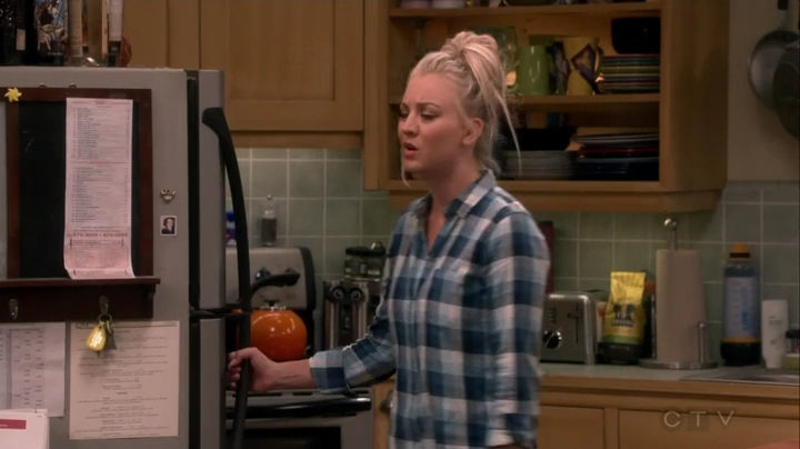 Charmed-Online-dot-nl_TBBT-11x07-0431.jpg