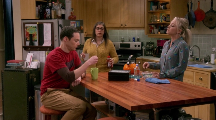 Charmed-Online-dot-nl_TBBT-11x09-0418.jpg