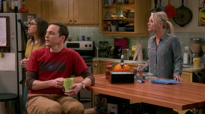 Charmed-Online-dot-nl_TBBT-11x09-0465.jpg