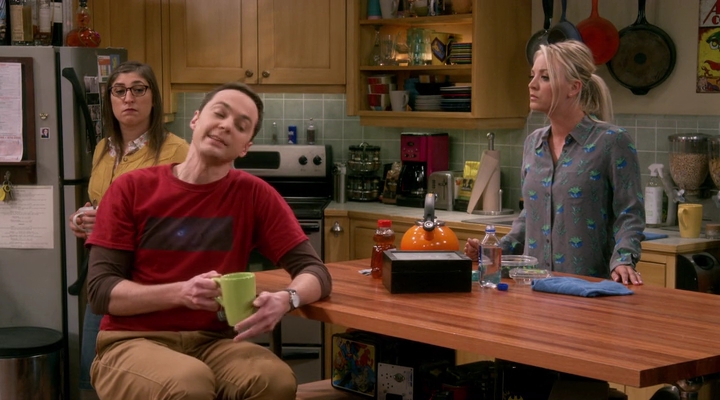 Charmed-Online-dot-nl_TBBT-11x09-0467.jpg