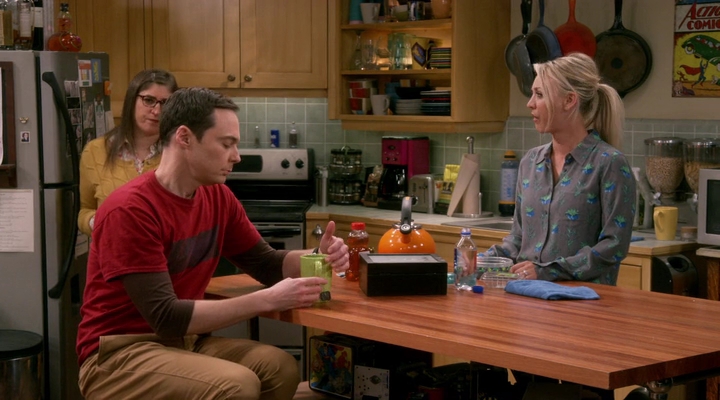 Charmed-Online-dot-nl_TBBT-11x09-0485.jpg
