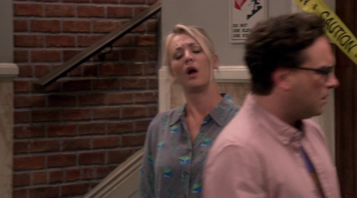 Charmed-Online-dot-nl_TBBT-11x09-0725.jpg