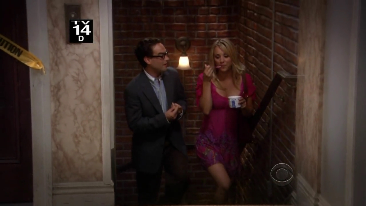Charmed-Online-dot-net_TBBT-2x01-_0003.jpg
