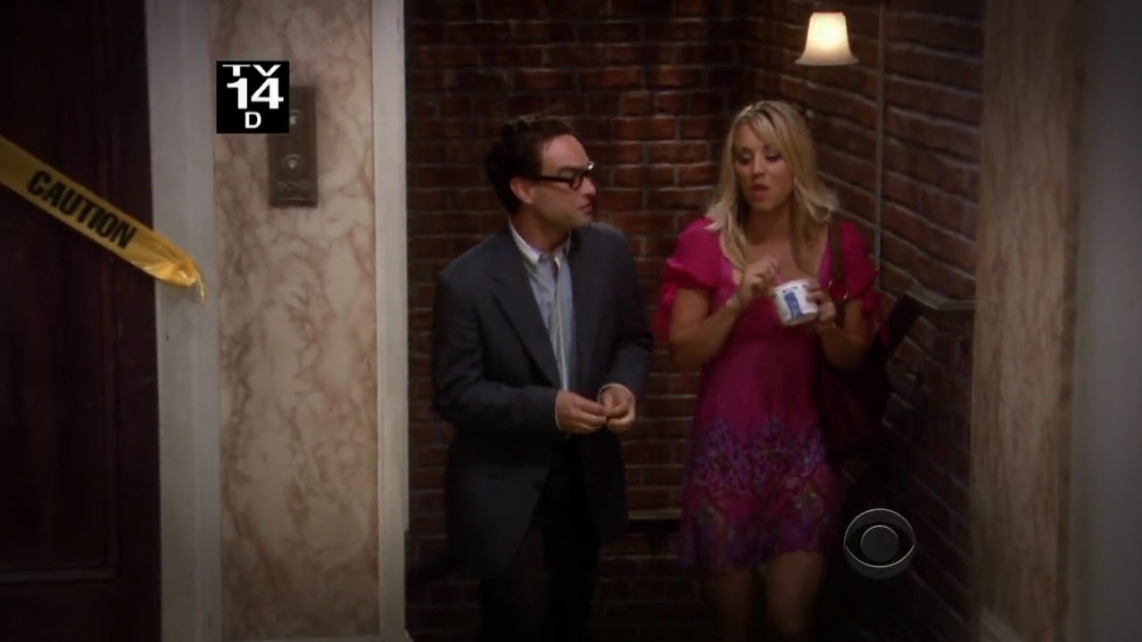 Charmed-Online-dot-net_TBBT-2x01-_0004.jpg