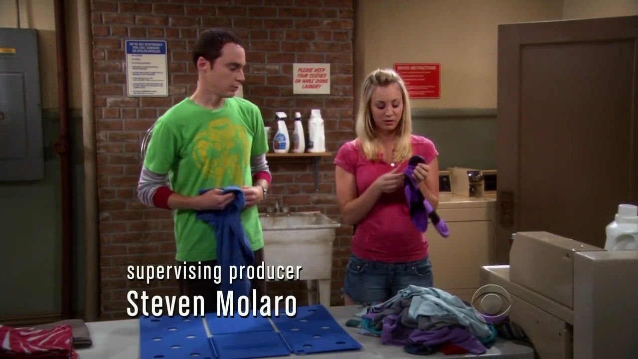 Charmed-Online-dot-net_TBBT-2x01-_0337.jpg