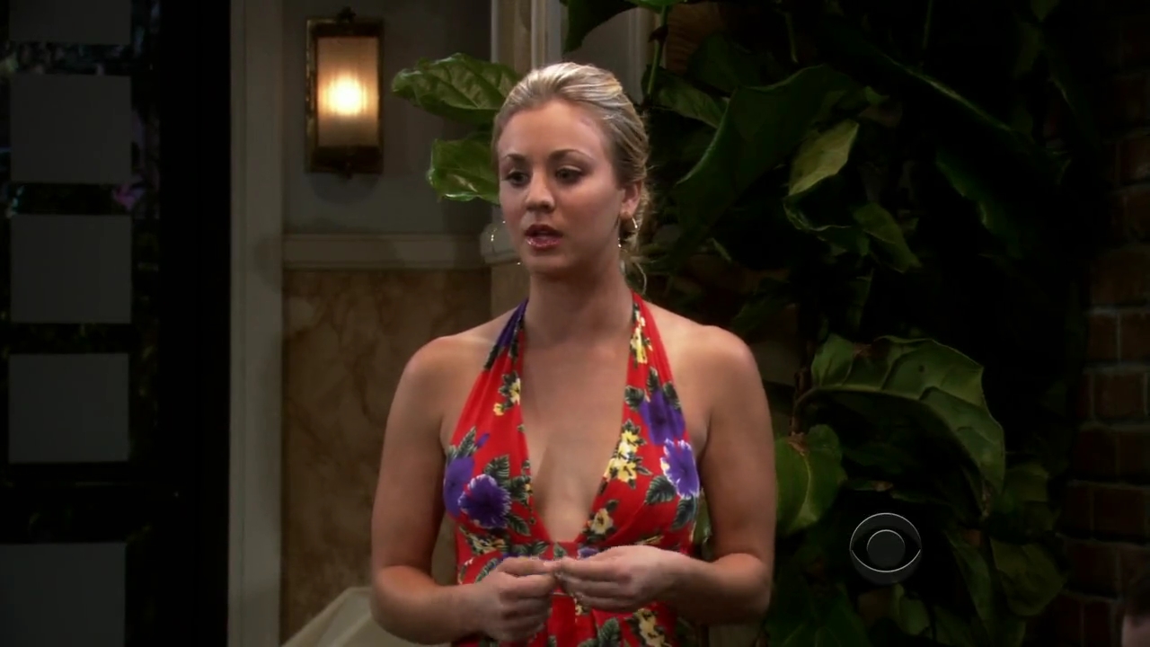 Charmed-Online-dot-net_TBBT-2x02-_0121.jpg