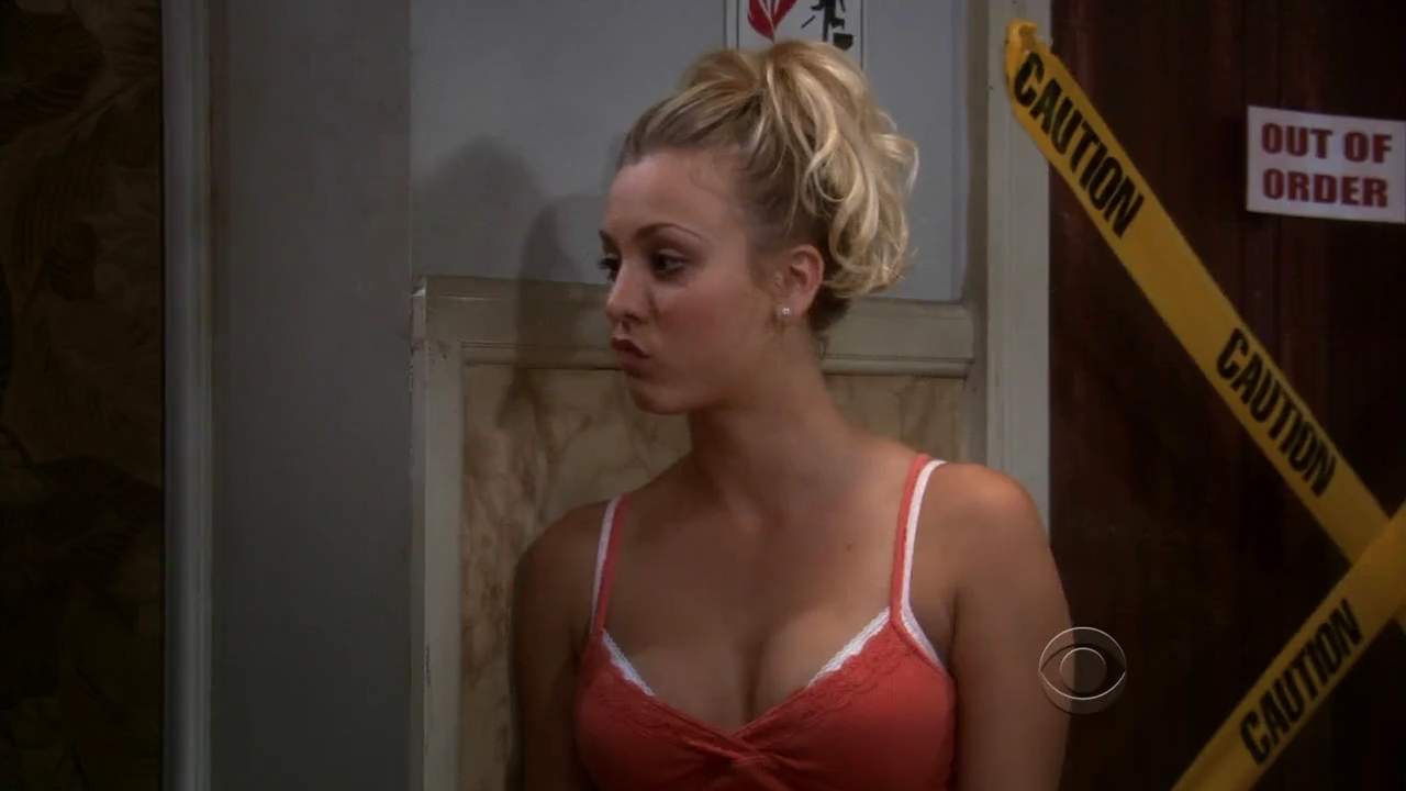 Charmed-Online-dot-net_TBBT-2x02-_0299.jpg