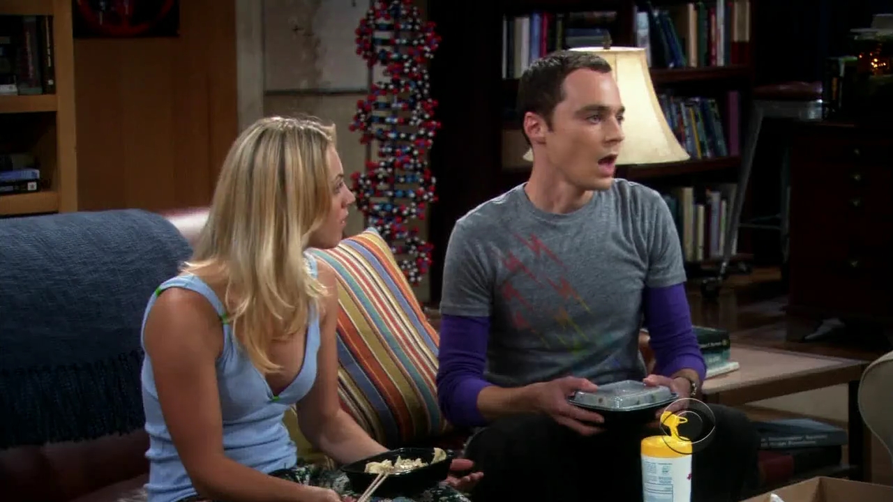 Charmed-Online-dot-net_TBBT-2x04-0062.jpg